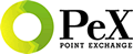 �|�C���g������PeX
